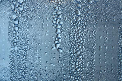 what does a dehumidifier do