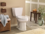 Benefits of Powerful Non Clogging Toilets