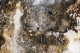 How to prevent mold